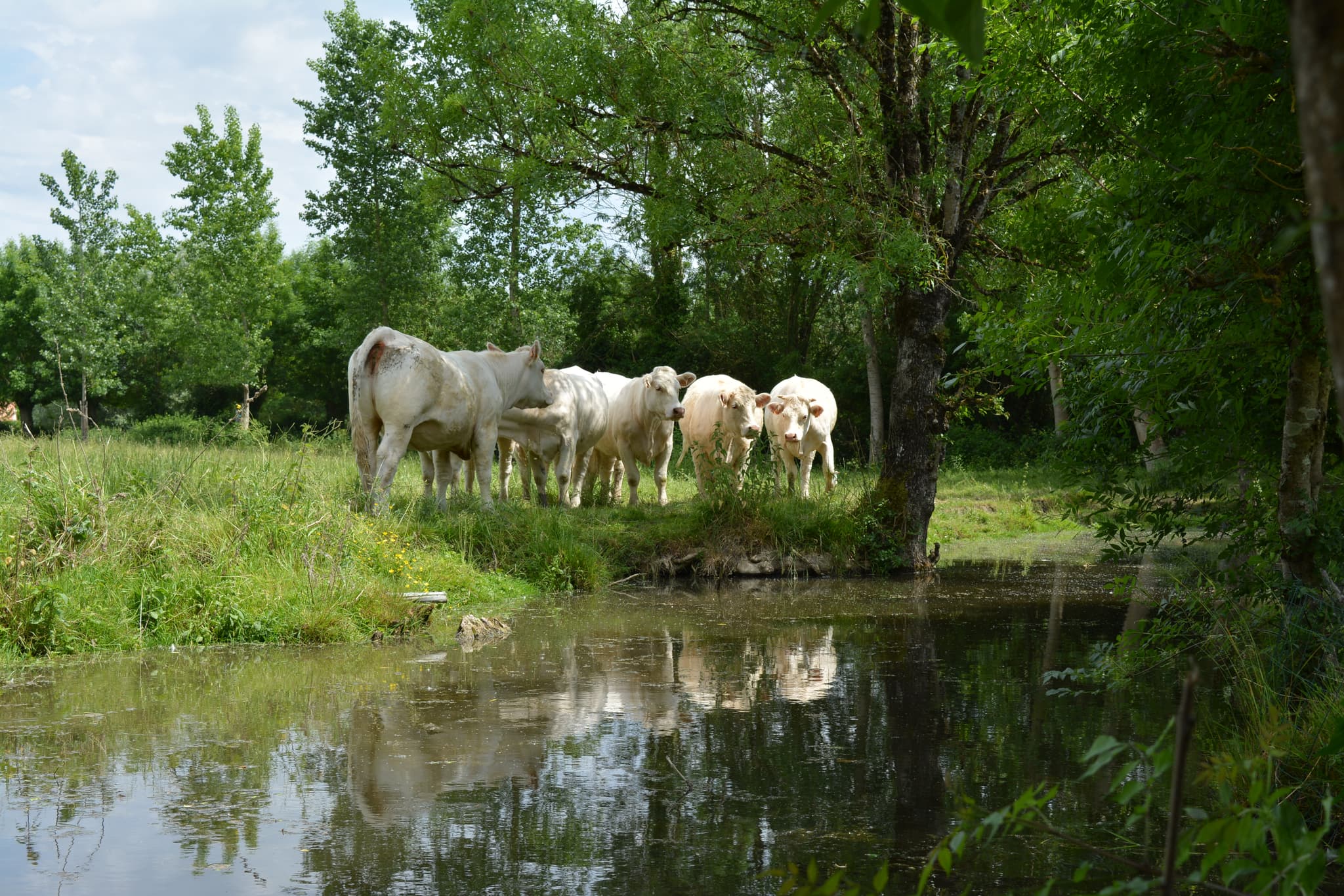 Face à la cabane à Doudou