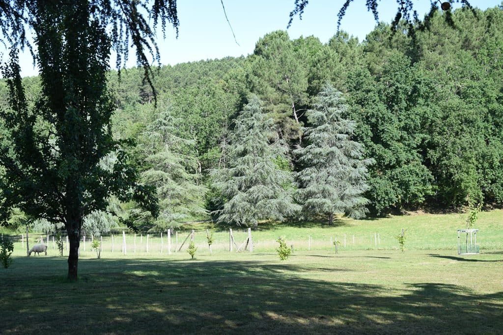 Gite Refuge des ecureuils Campsegret