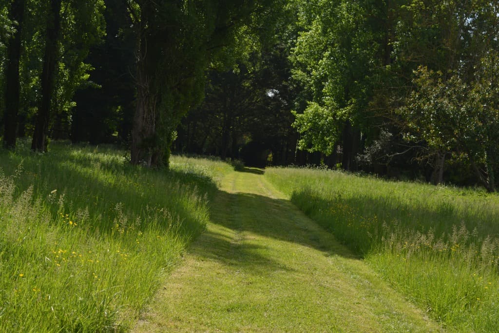 Le chemin d'accès au gîte le refuge.