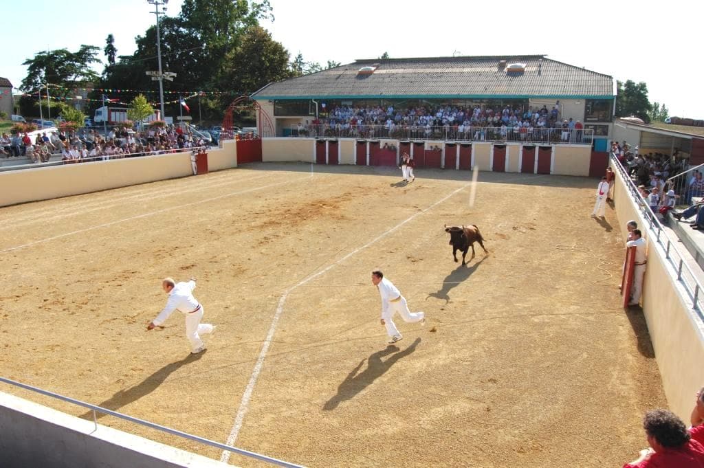 Arènes Sarraziet
