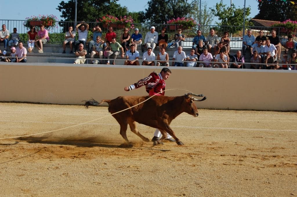 Arènes Sarraziet