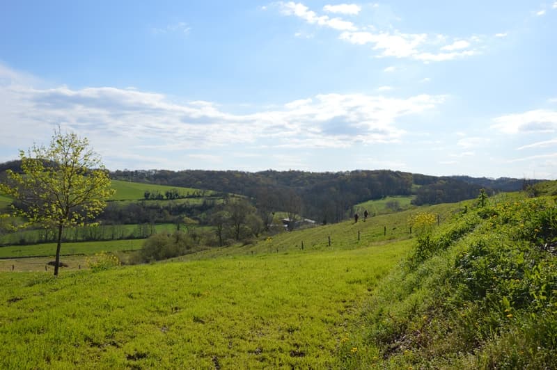 Domaine Esperbasque