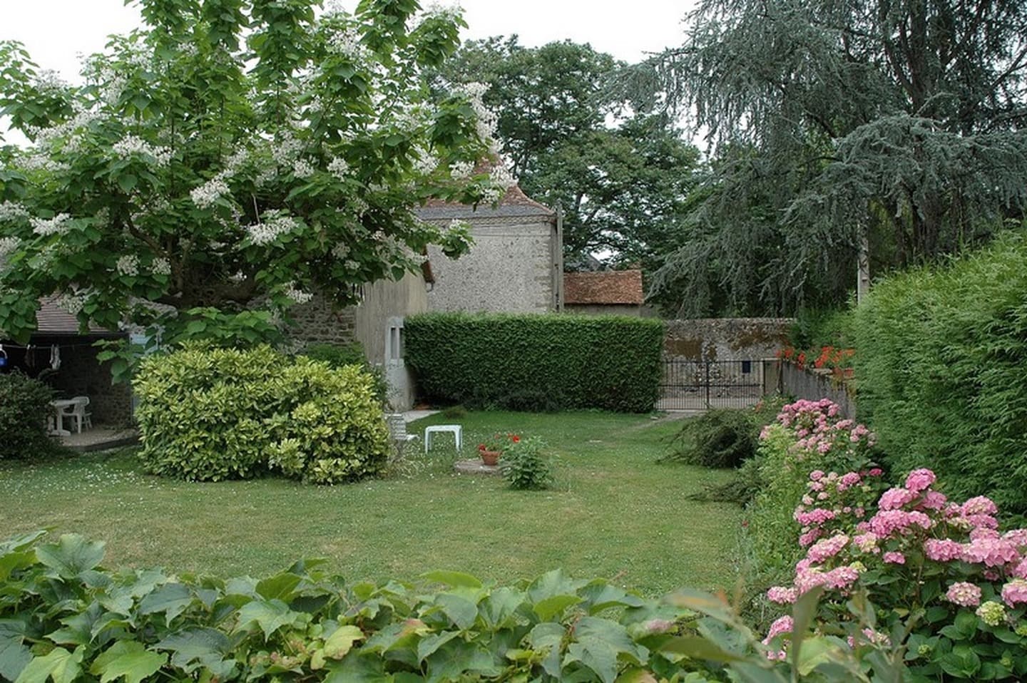 DSC-0361-2