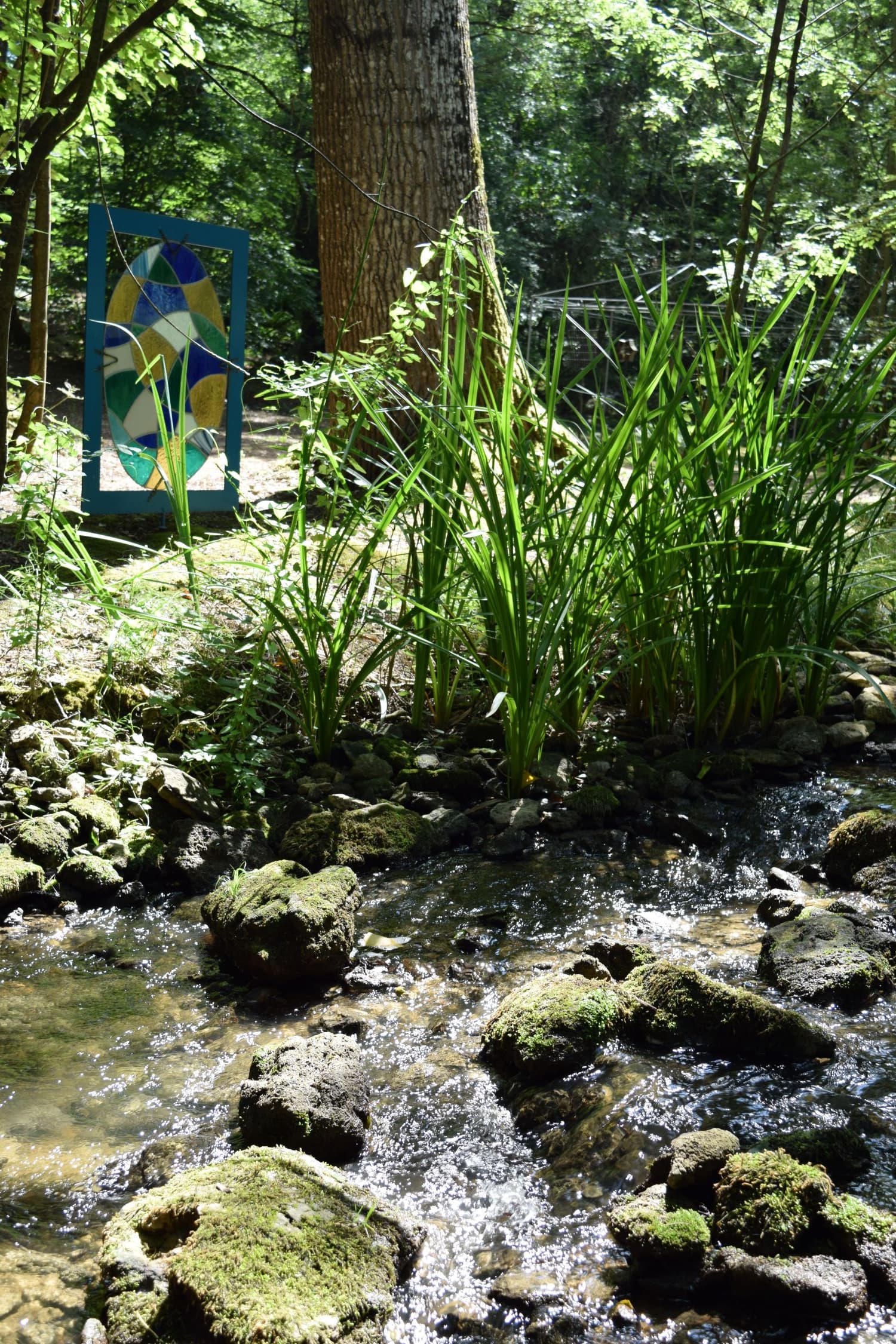 Jardin à fleur d'eau
