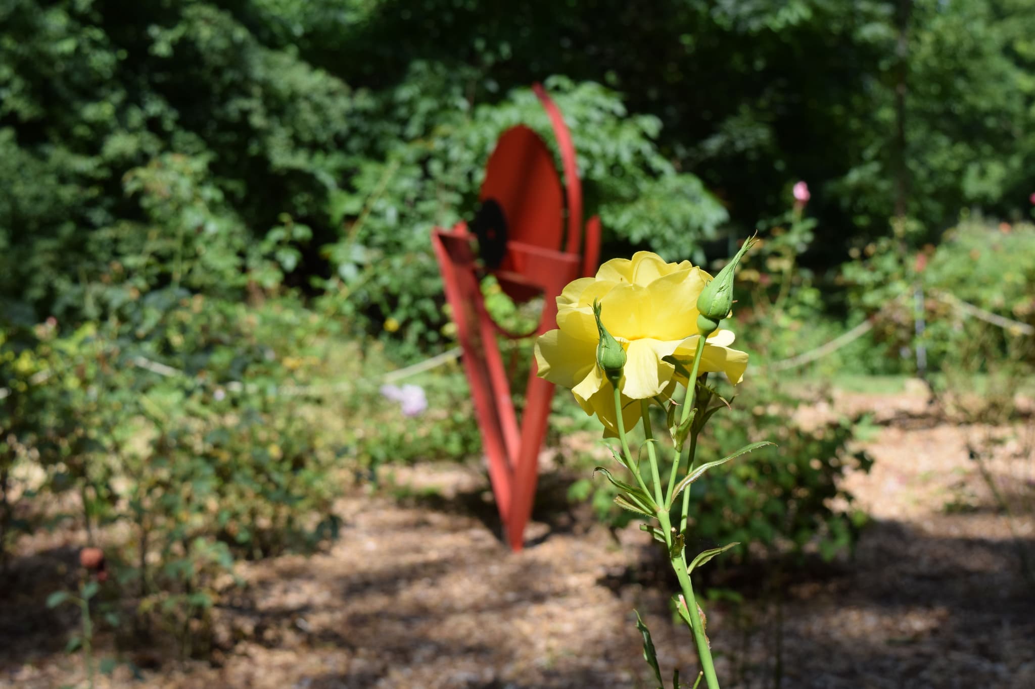 Jardin à fleur d'eau