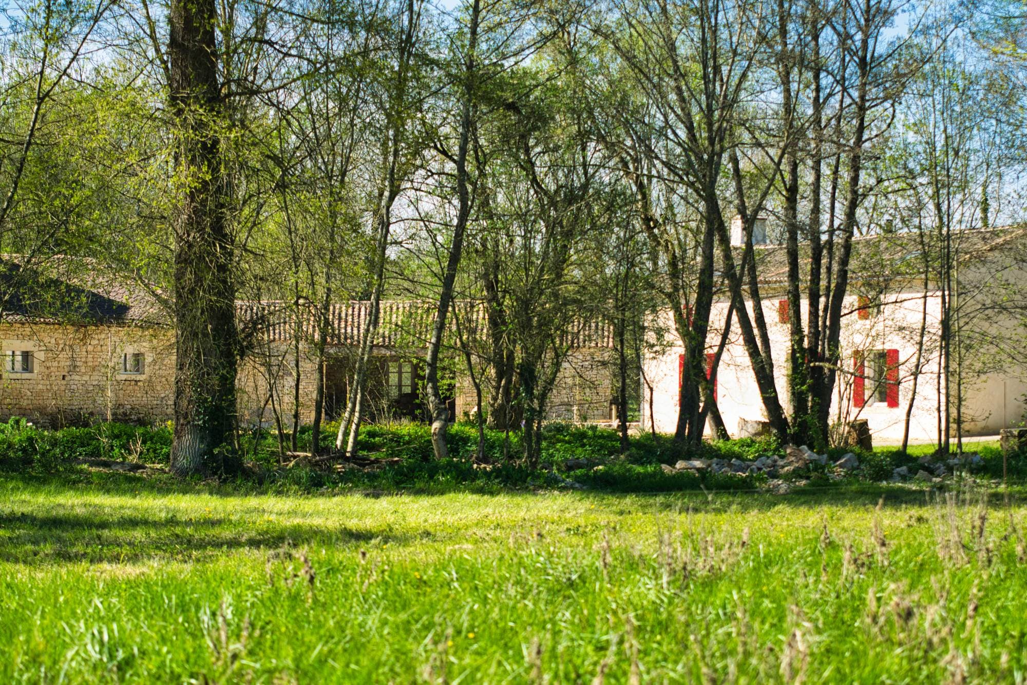 Le pré est idéal pour une sieste à l'ombre des arbres ou pour un pique-nique.