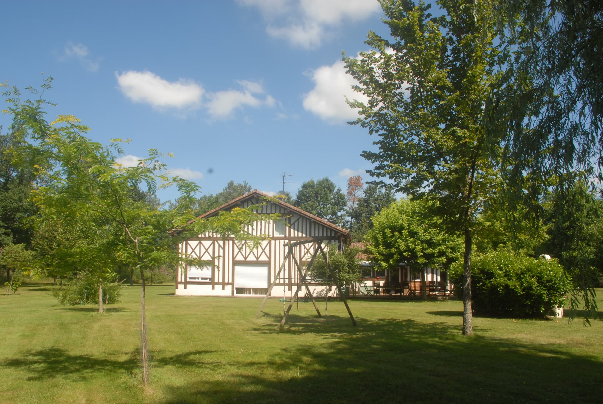 DSC_1916 (2)