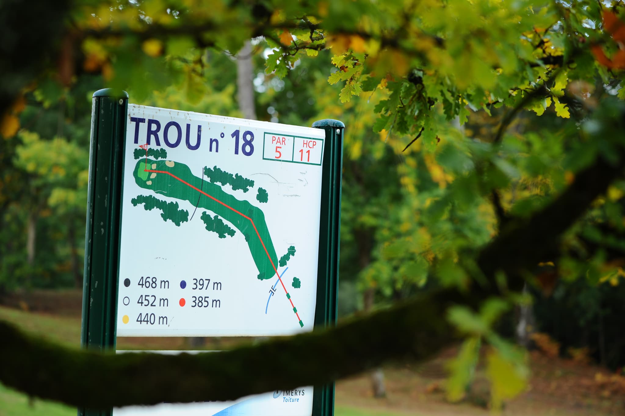golf_6