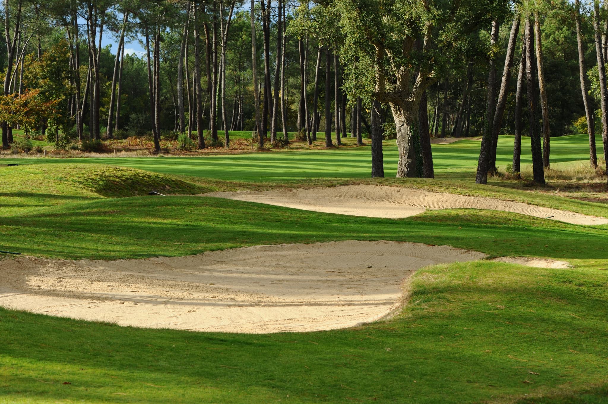 golf_2