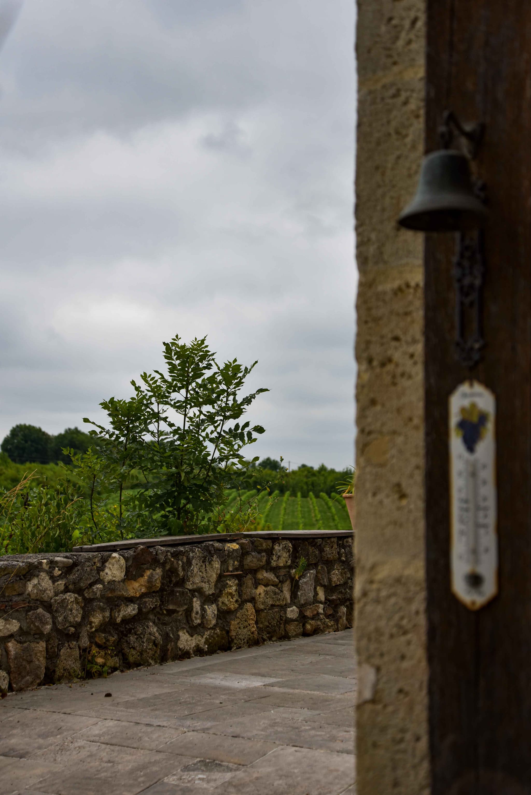 DSC_8685_11zon