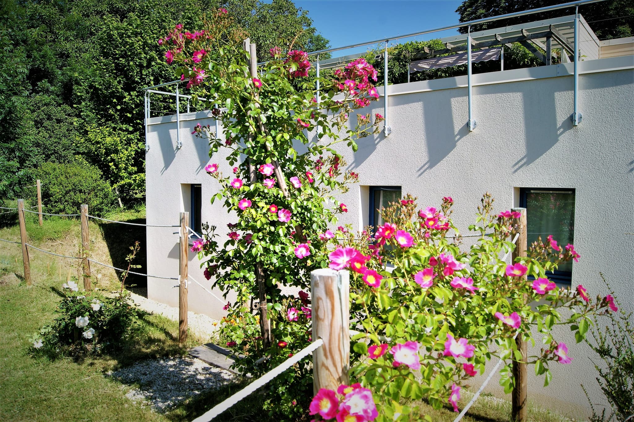 Gîte Les Marronniers - Saint Pierre d'Exideuil_5