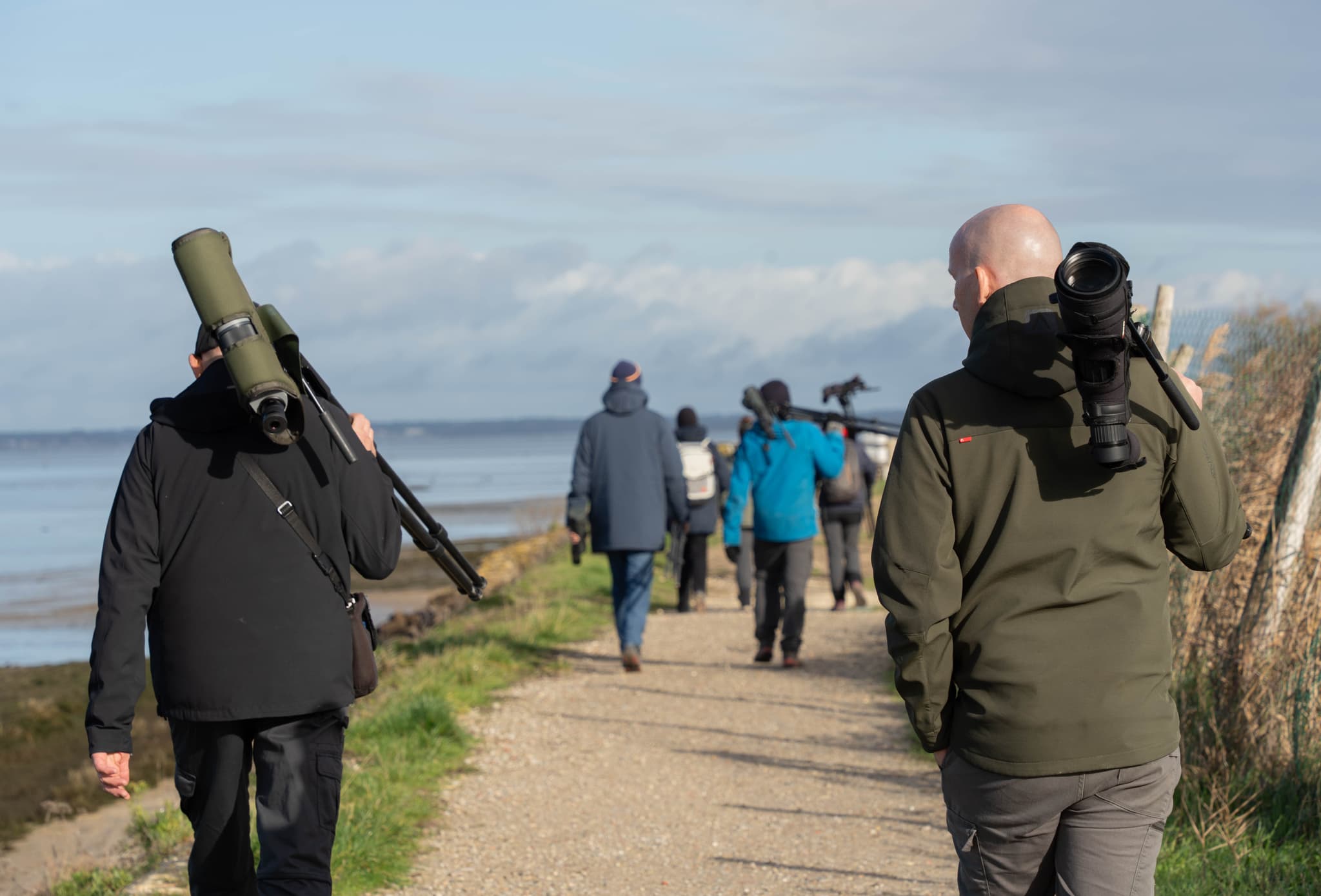 Formation à l'ornithologie