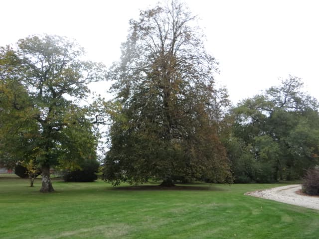 Parc airial