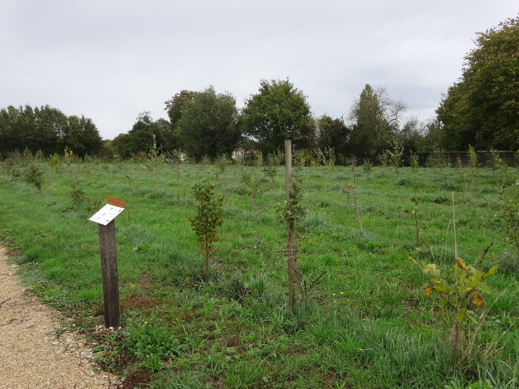 Arboretum et musée de Melleran