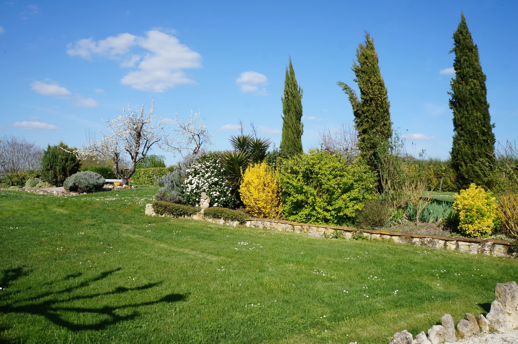 DSC03705