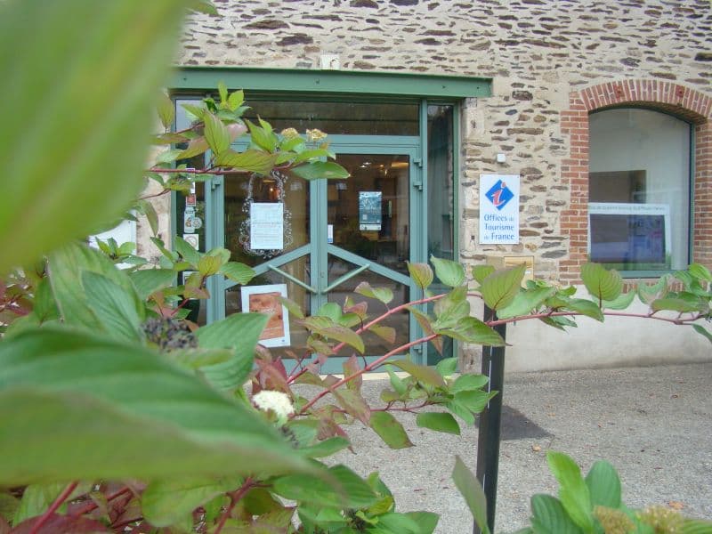 DSC06174