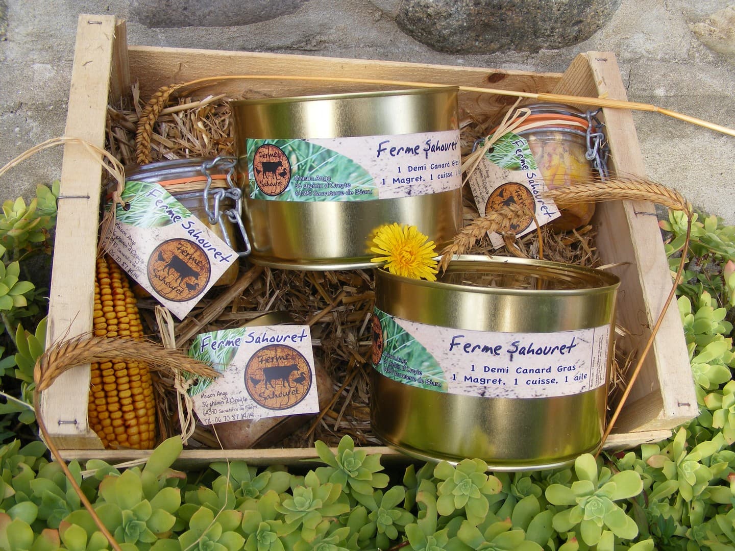 Ferme Sahouret