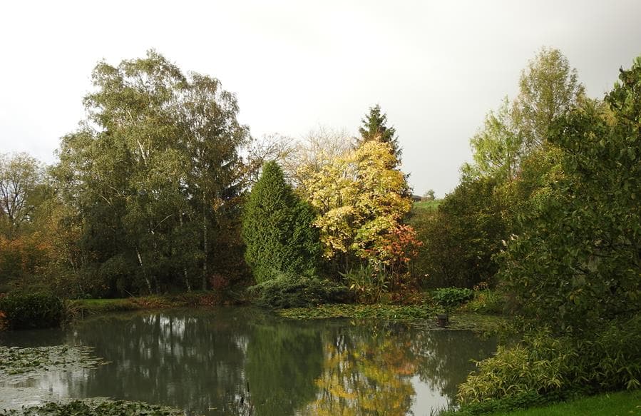 Reflets