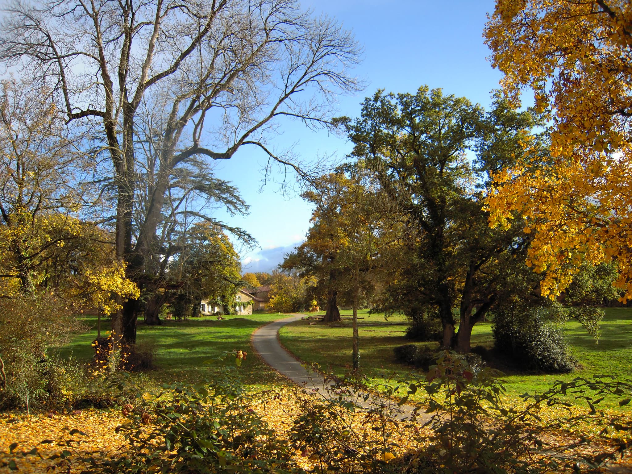 Ambiance d'automne