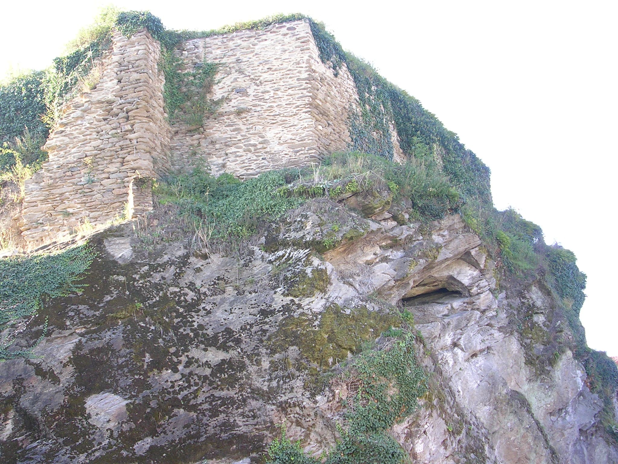 DSCN0946