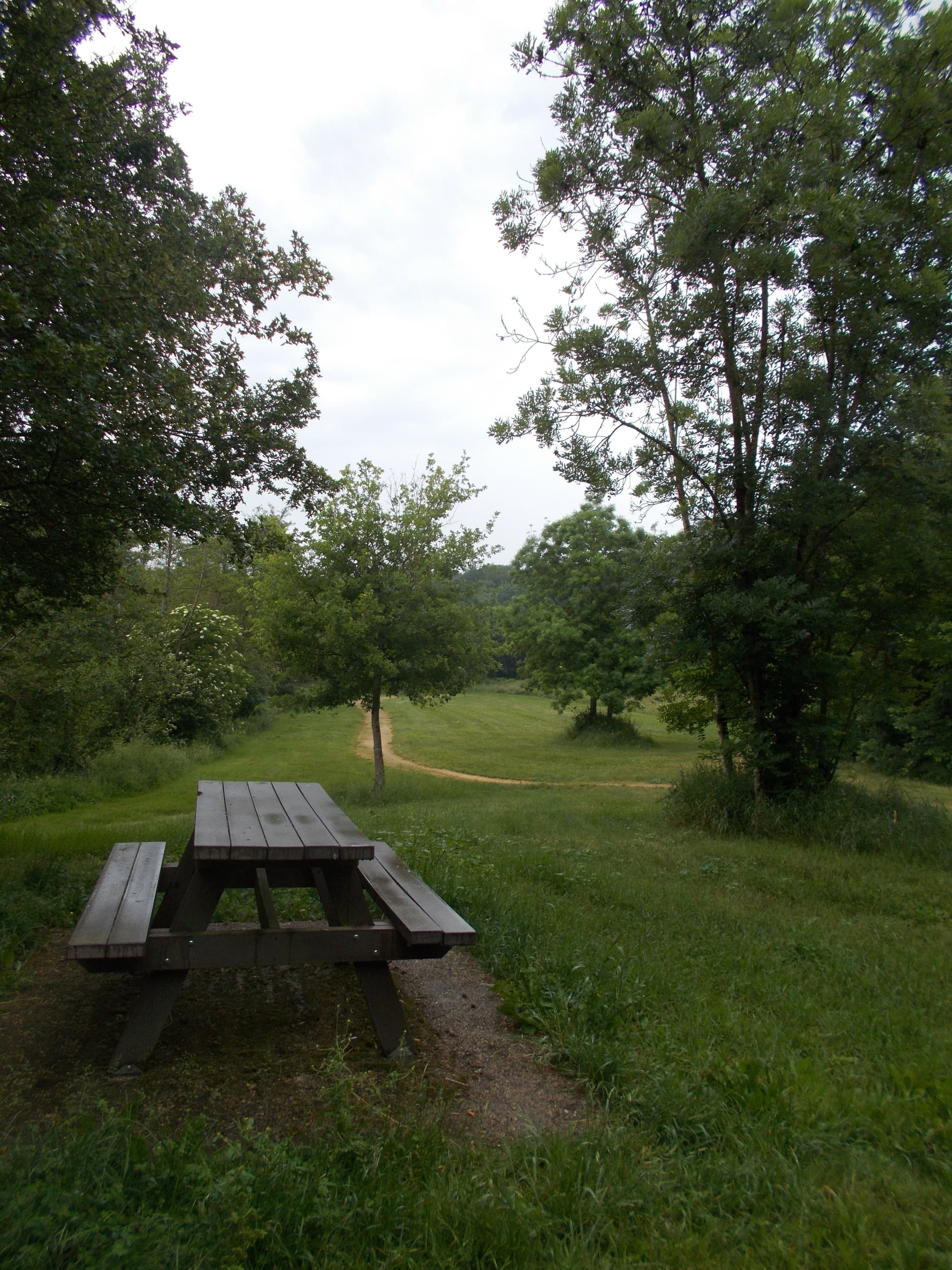 Aire passerelle de Monts