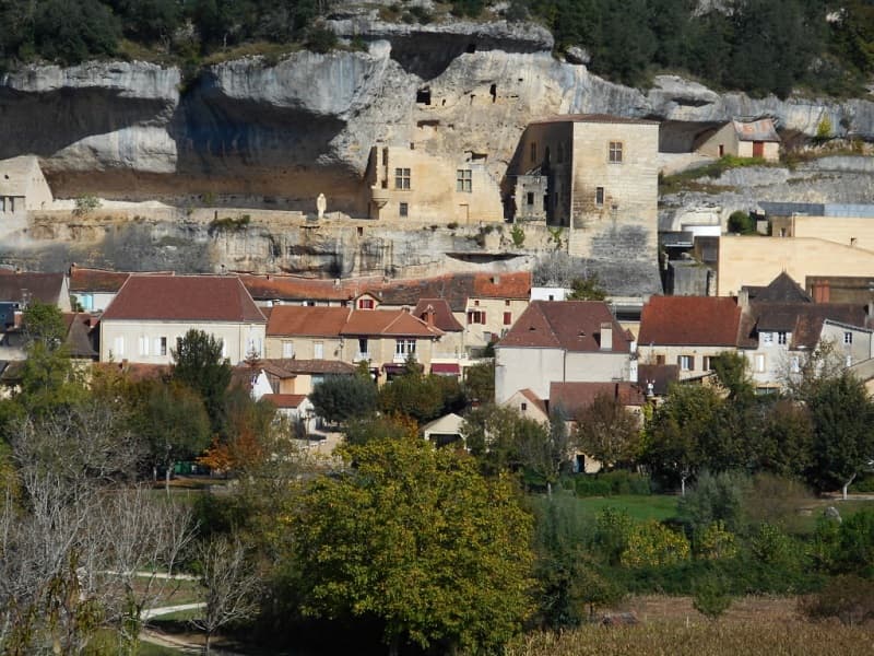 Les Oeillets_Denis ROUVES