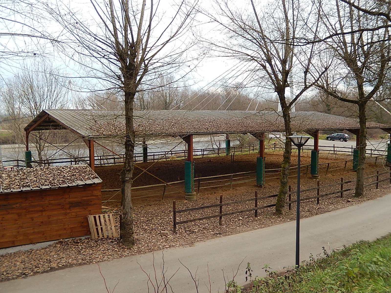 Cheval Détente - Laroin - manège couvert