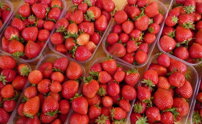 Dartenset fraises