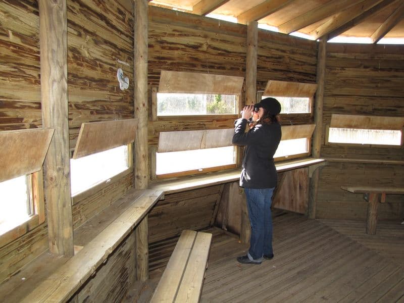 Depuis l'observatoire