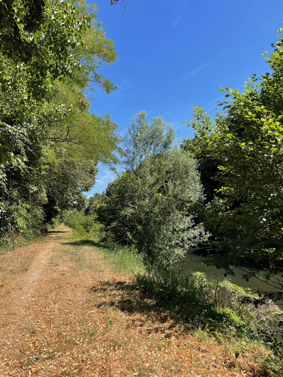 Deschamp-Maison-du-Canal (2)