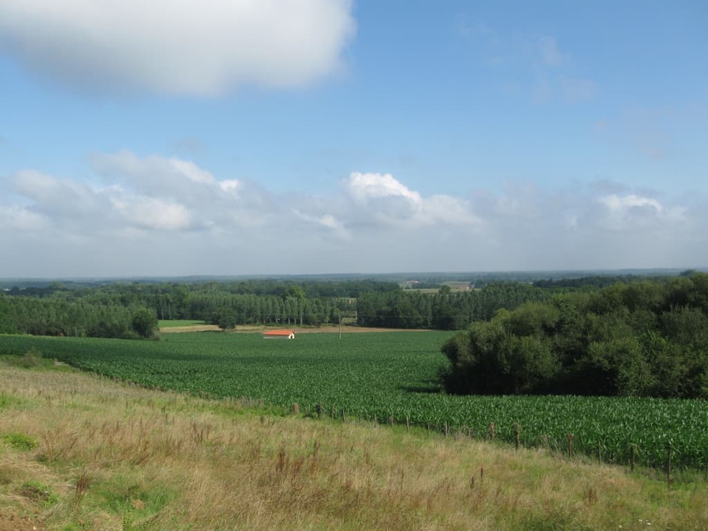 Desclaux - paysage