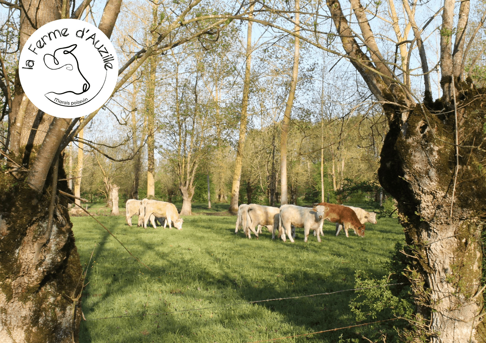 Le Ferme d'Auzille