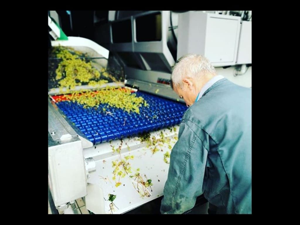 Vignobles Maurin