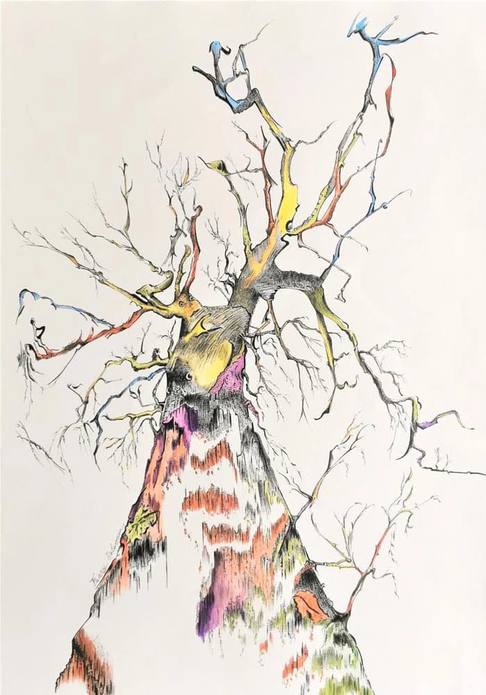 Dessin à l'encre Fanny Delumeau