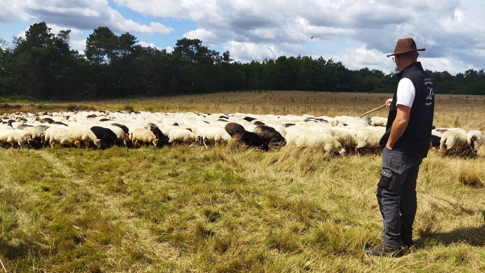 Visite de ferme - Didier-Pernet-Paturage-Itinrant-8