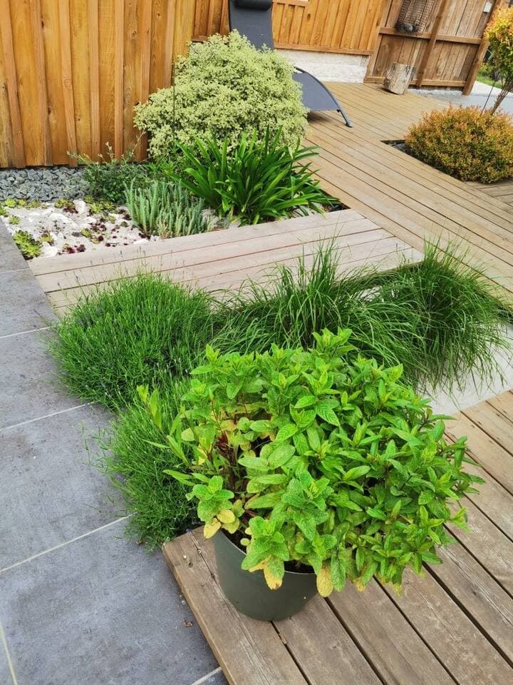 Terrasse vue 2