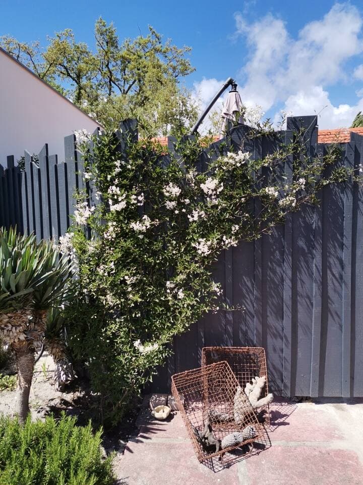 Terrasse vue 7