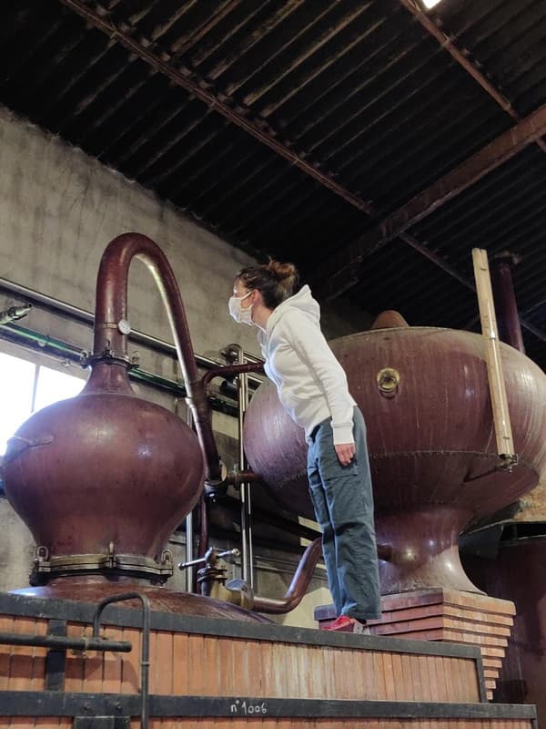 Distillerie du Grand Nez_02