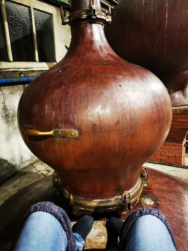 Distillerie du Grand Nez_13