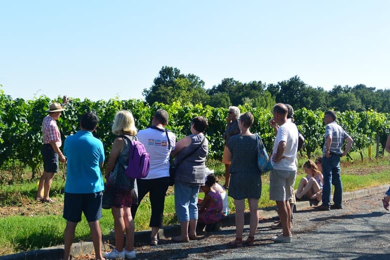 Domaine Amblard