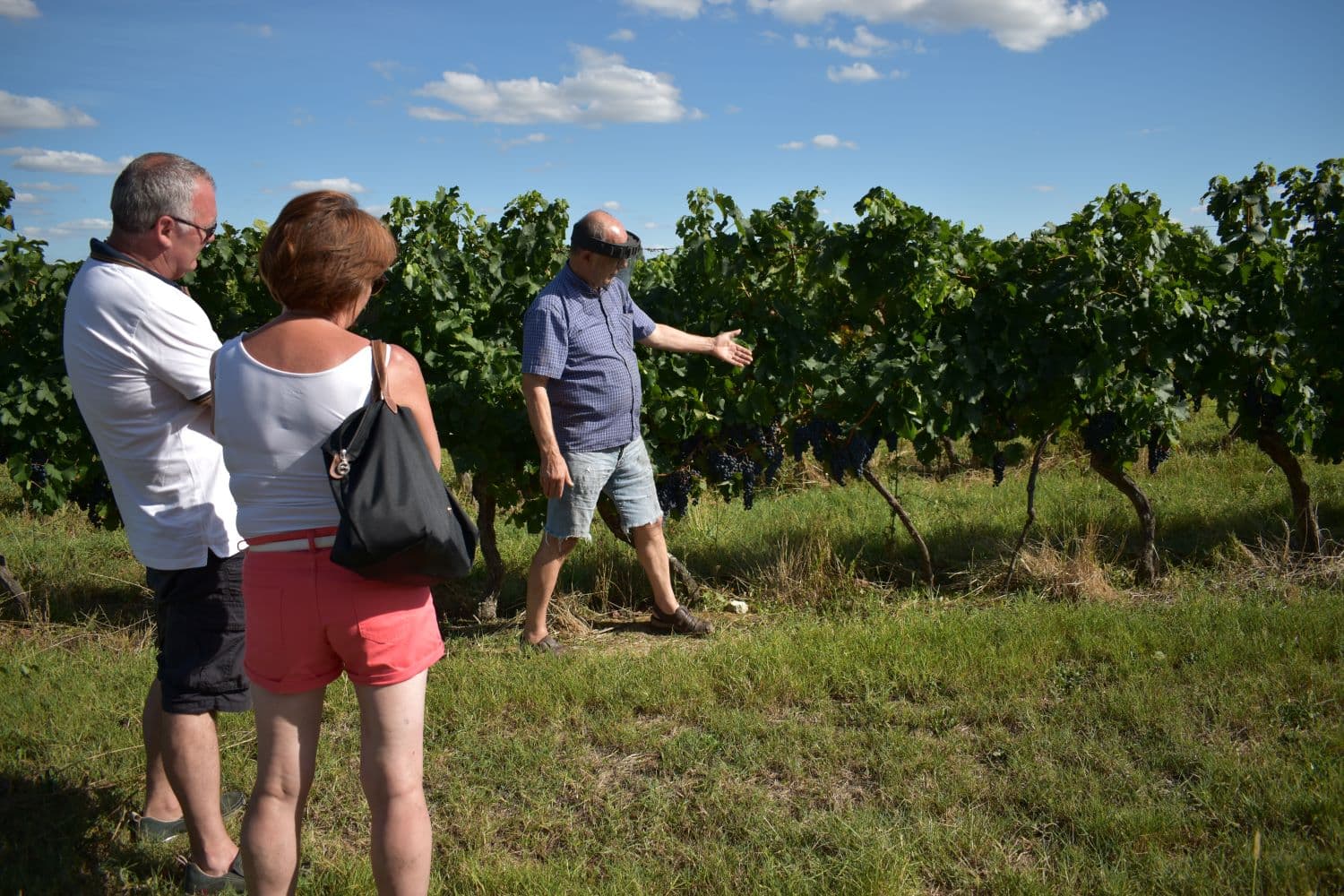 Domaine Amblard aout2020 (1)réduit