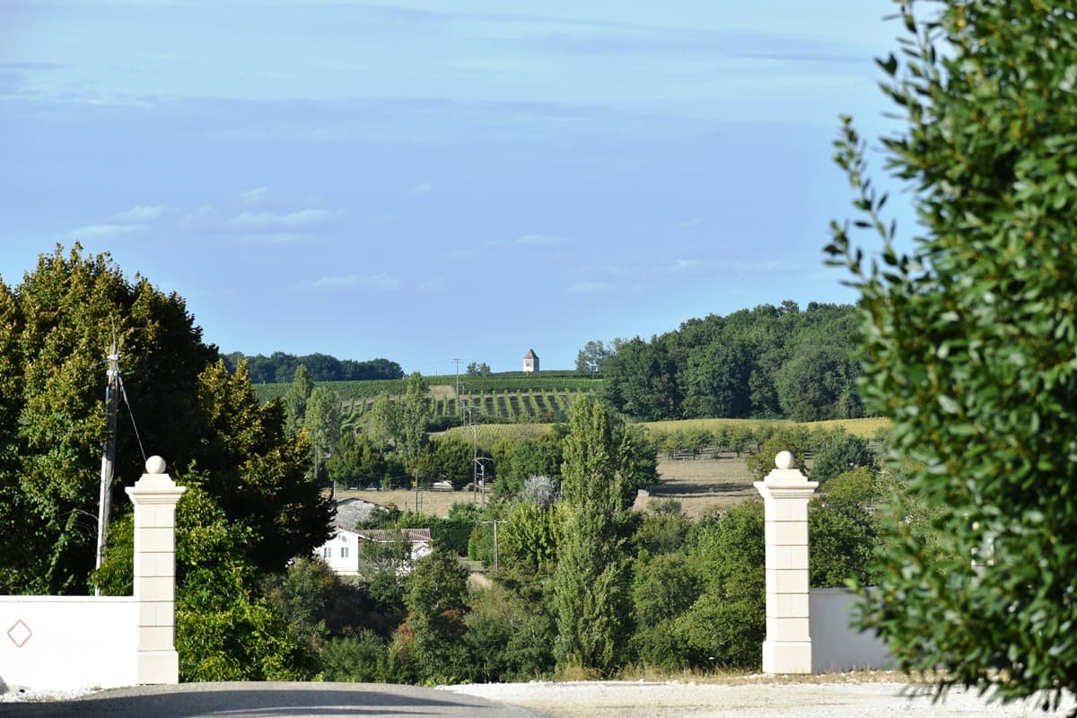 Domaine Amblard aout2020 (77)