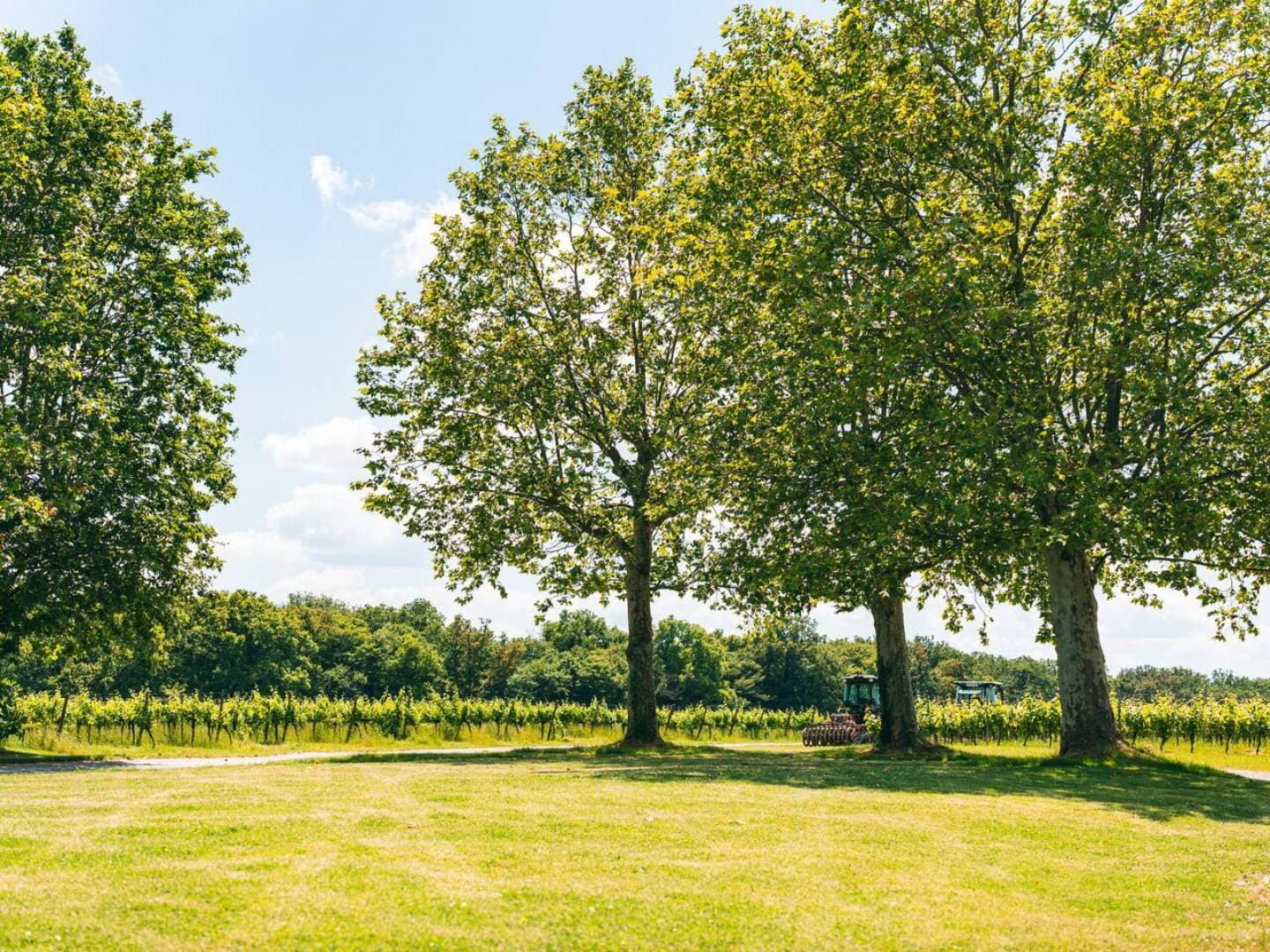 Domaine Canteloup - Parc extérieur