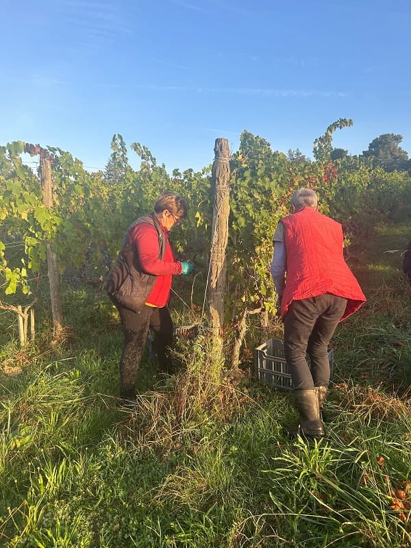 Domaine Elian DA ROS 5