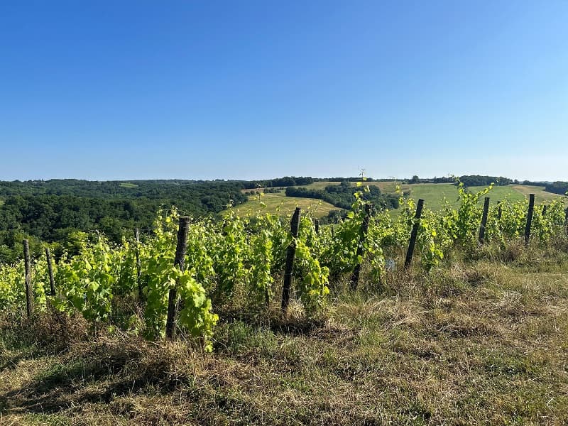 Domaine Elian DA ROS