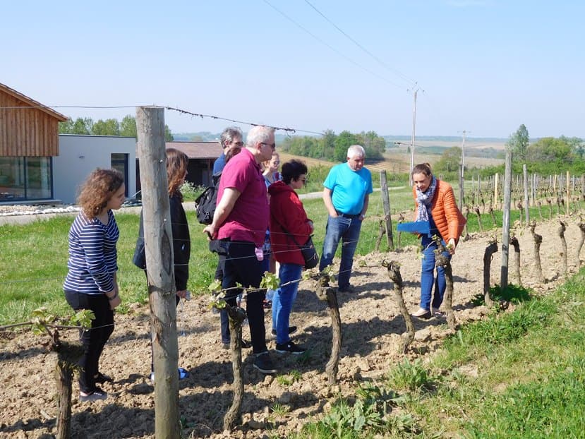 Domaine de Ferrant Vuillien Esclottes