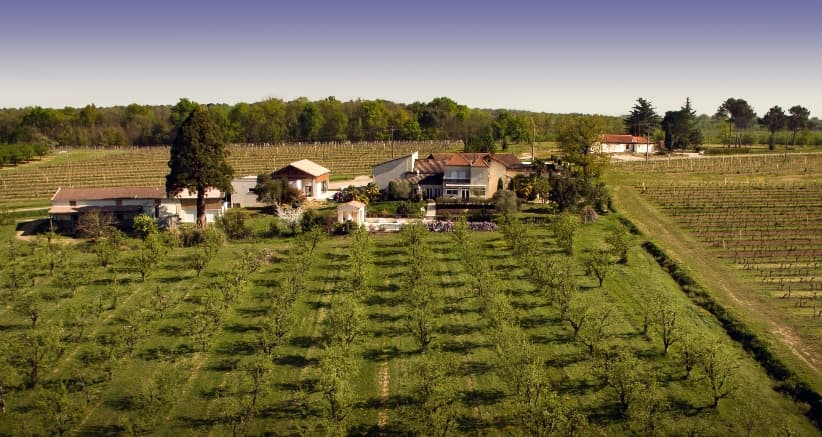 Domaine de Ferrant Vuillien Esclottes