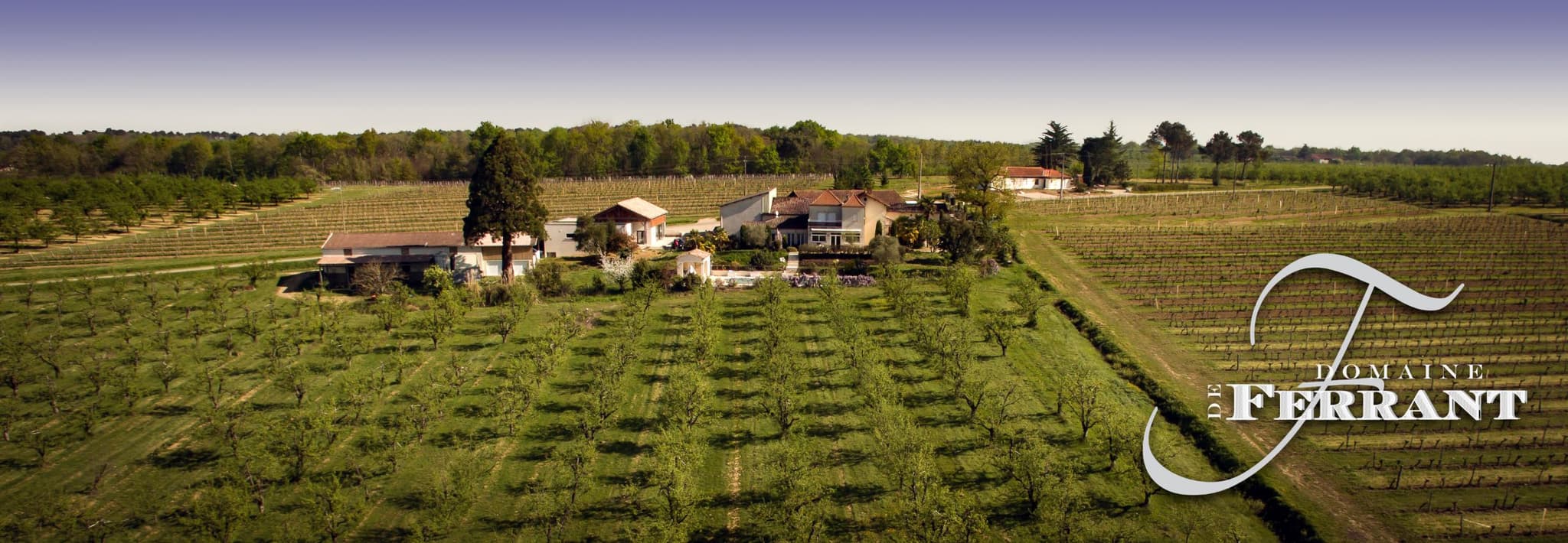 Domaine Ferrant 2021