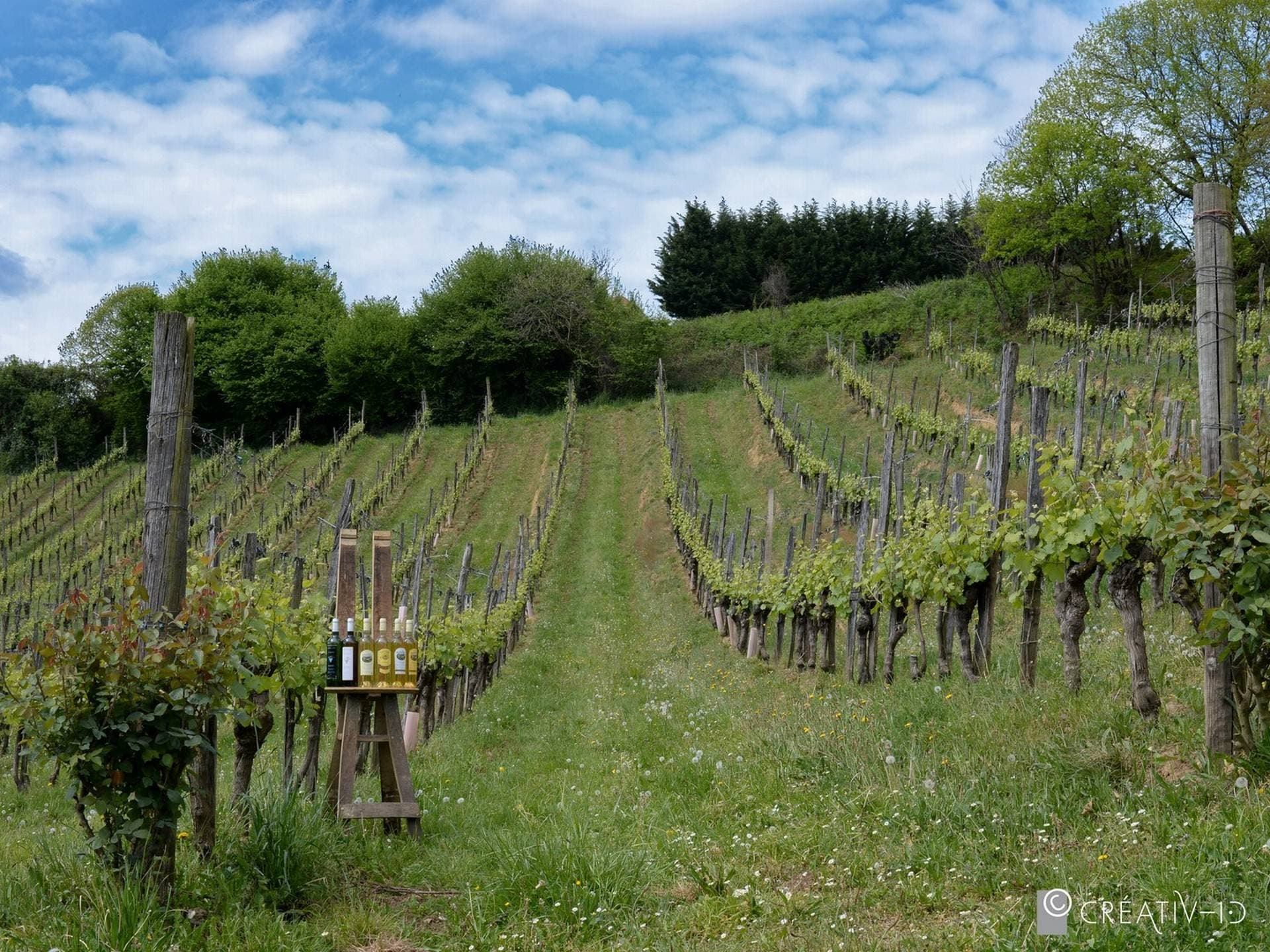 Domaine Larroudé