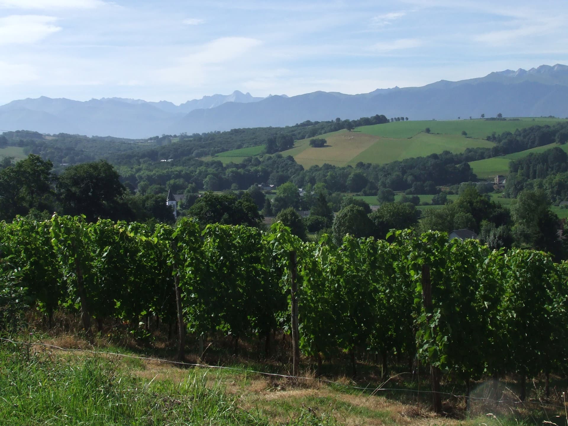 Domaine Naba - Vignes I (Mathieu Lacanette-Naba)